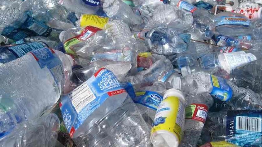 Pengaruh Plastik pada Biodiversitas