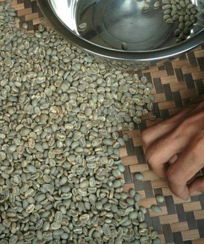 Tujuan Sortasi Biji Kopi