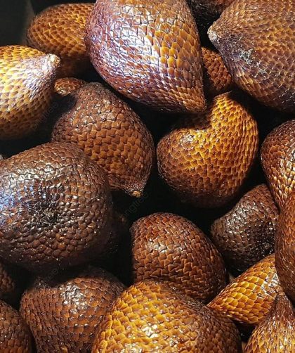 Perbedaan keripik salak dan salak kering