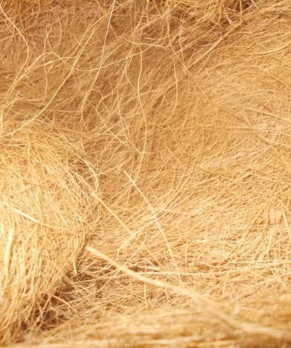 Teknologi Modern Penghalusan Serat Sabut Kelapa