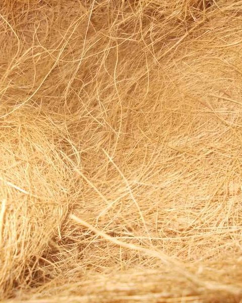 Teknologi Modern Penghalusan Serat Sabut Kelapa