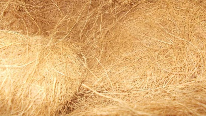 Teknologi Modern Penghalusan Serat Sabut Kelapa