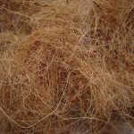 Cara Mengolah Sabut Kelapa Menjadi Serat Halus
