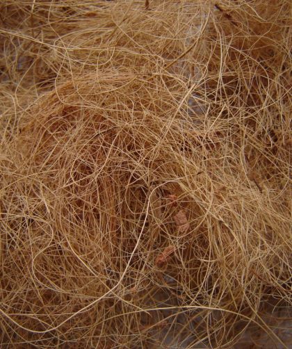 Cara Mengolah Sabut Kelapa Menjadi Serat Halus