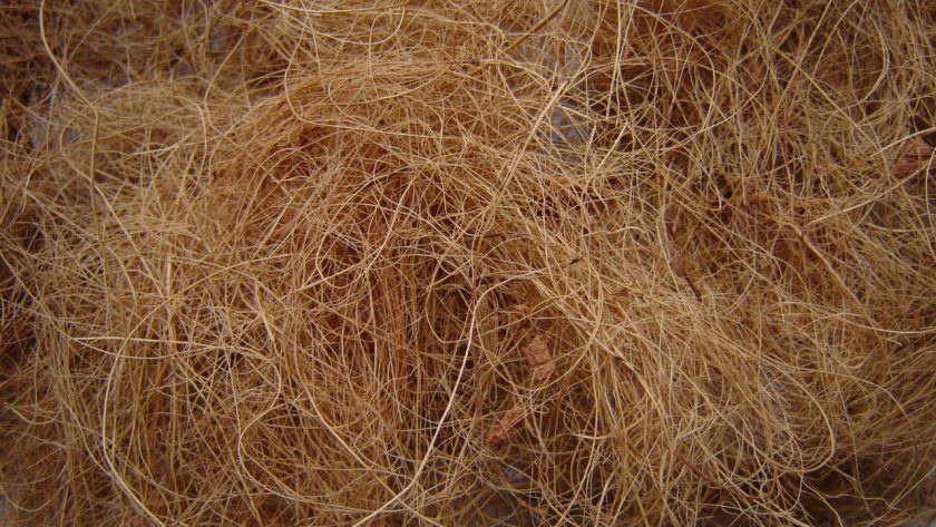 Cara Mengolah Sabut Kelapa Menjadi Serat Halus