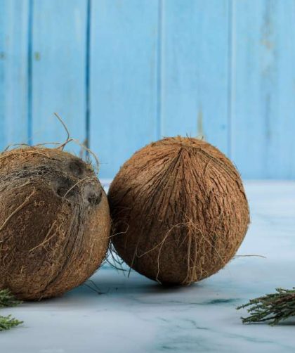 Cara Menggunakan Penghancur Sabut Kelapa