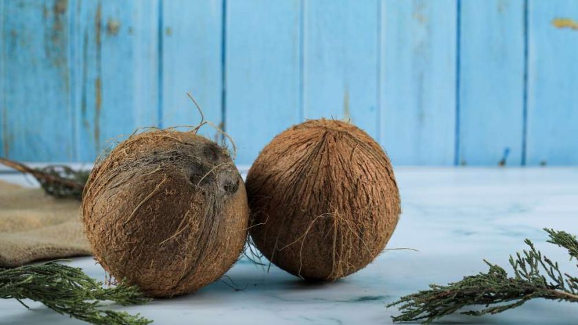 Cara Menggunakan Penghancur Sabut Kelapa