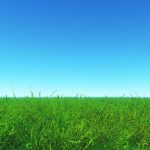 Cara Rawat Alat Pencacah Rumput