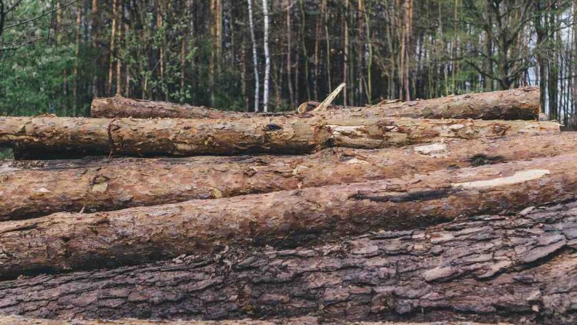 Keunggulan Menggunakan Mesin CNC Kayu