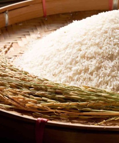 layanan penggilingan padi keliling