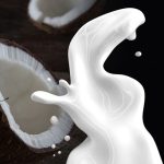 Usaha Santan Kelapa Harian