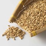 Fungsi Mesin Box Dryer