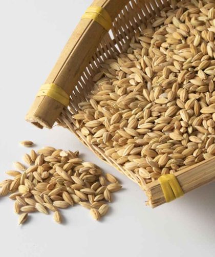 Fungsi Mesin Box Dryer