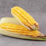 Kelebihan Menggunakan Mesin Pemipil Jagung