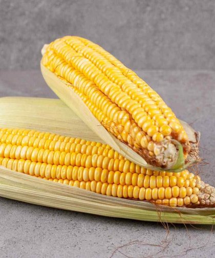 Kelebihan Menggunakan Mesin Pemipil Jagung