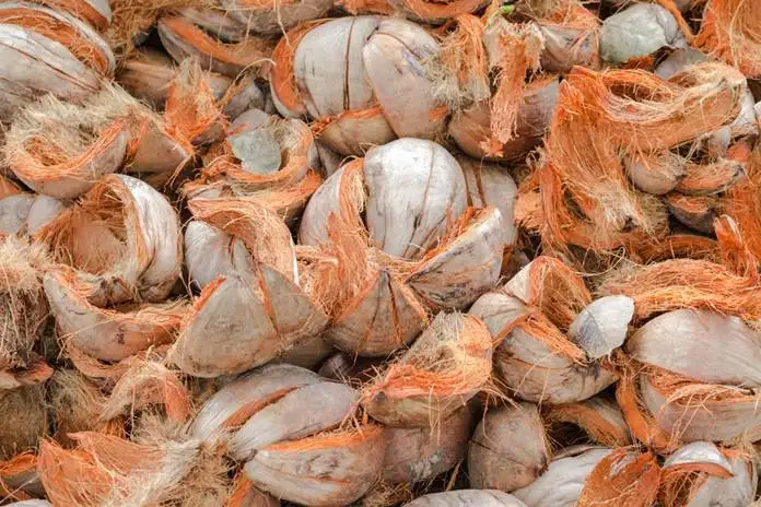 Pengolahan Sabut Kelapa Industri